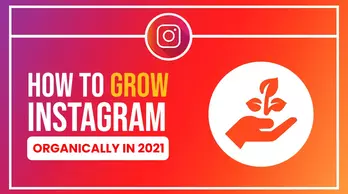 How to Grow Instagram Organically